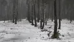 Kartepe’ye kar yağdı