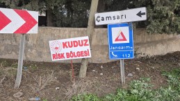 Vatandaşlara saldıran köpek kuduz çıktı, mahalle karantinaya alındı