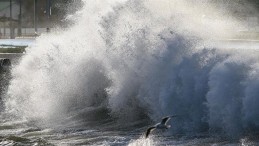 DİKKAT! Kocaeli Valiliği saat verdi, uyardı