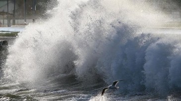 DİKKAT! Kocaeli Valiliği saat verdi, uyardı