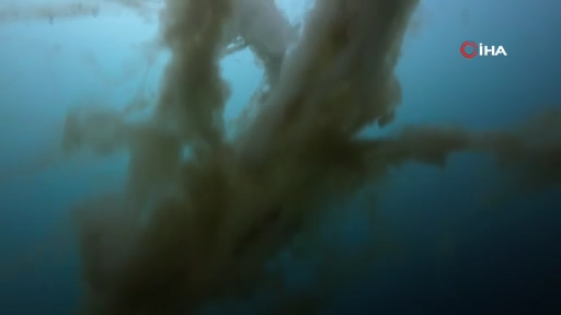 İzmit Körfezi’nde korkutan manzara