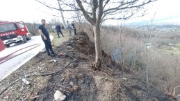 Kocaeli’de 2,5 dönüm orman arazisi küle döndü