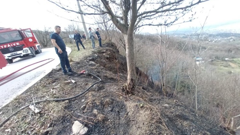 Kocaeli’de 2,5 dönüm orman arazisi küle döndü