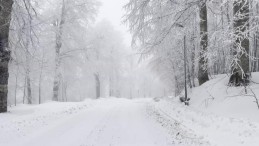 Kartepe’de lapa lapa kar yağışı: O bölge beyaza büründü