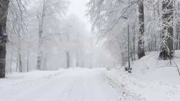 Kartepe’de lapa lapa kar yağışı: O bölge beyaza büründü