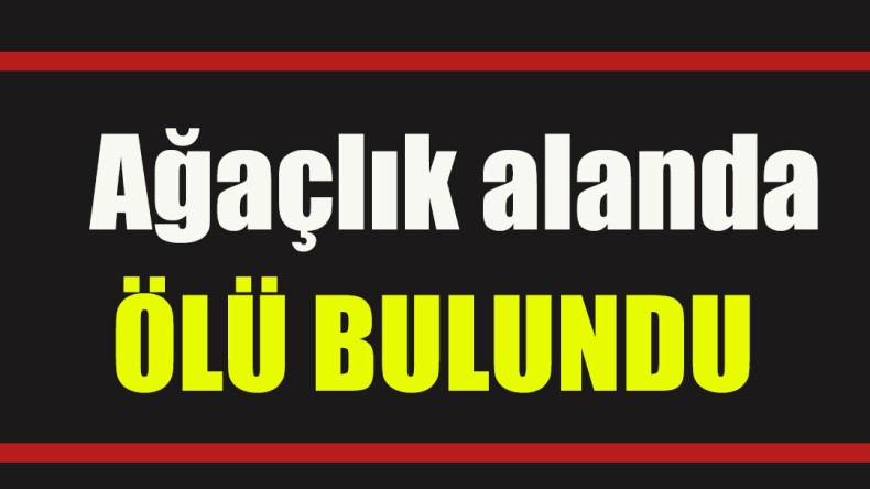 Ağaçlık alanda ölü bulundu