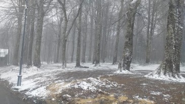 Kartepe’ye kar yağdı: Kocaeli Valiliği uyardı