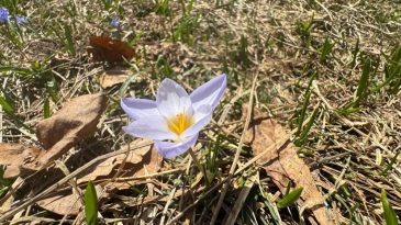 Dünyada sadece Kocaeli’de var: “Kesinlikle yenilmemeli”