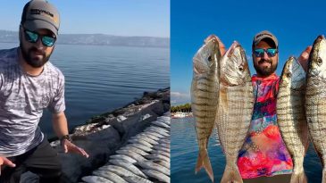 İzmit Körfezi’nde temizlik çalışmaları sonuç verdi: 2 saatte 100 kiloluk mırmır yakalandı