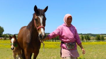 Hem anne hem seyis: Milyonluk atları büyüttü, yarışlarını heyecanla izliyor