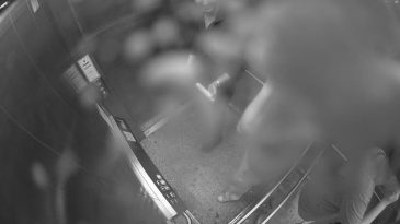 Üst geçitteki asansörün güvenlik kamerasına köpük sıktılar