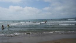 Kandıra’da bir genç denizde kayboldu ihbarı: Ekipler harekete geçti