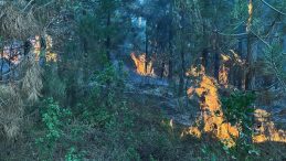 Kocaelililer dikkat! Büyükşehir Belediyesi’nden kritik uyarı