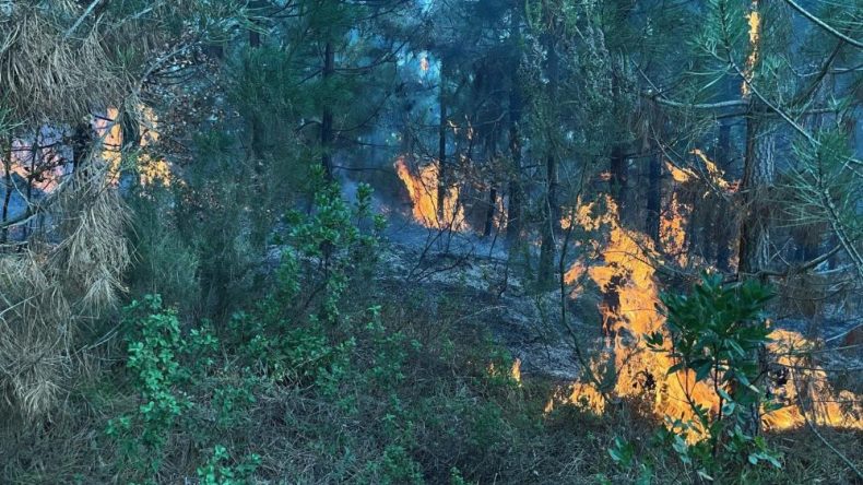 Kocaelililer dikkat! Büyükşehir Belediyesi’nden kritik uyarı