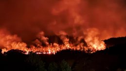 Komşuda orman yangını: Yangın bölgesi havadan görüntülendi