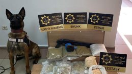 Kocaeli’nde uyuşturucu operasyonu: 9 bin 900 ecstasy hap ele geçirildi