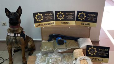 Kocaeli’nde uyuşturucu operasyonu: 9 bin 900 ecstasy hap ele geçirildi