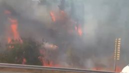 Kocaeli’de orman yangını: Yangın söndürme helikopteri de müdahale etti