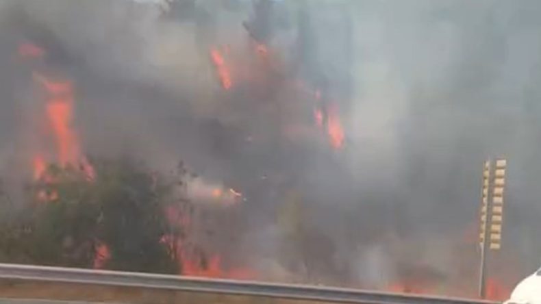 Kocaeli’de orman yangını: Yangın söndürme helikopteri de müdahale etti