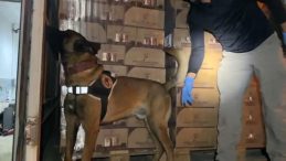 Osmangazi Köprüsü girişinde 9 kilo kokain maddesi ele geçirildi