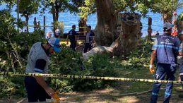 Gölcük’ten acı haber: Çınar ağacının kırılan dalı üzerine düşen kişi hayatını kaybetti