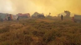 Kocaeli’de ormanlık alanda yangın: Ekipler yoğun mücadele verdi