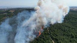 Kocaeli’de çıkan orman yangını kontrol altına alındı