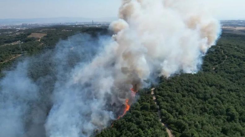 Kocaeli’de çıkan orman yangını kontrol altına alındı