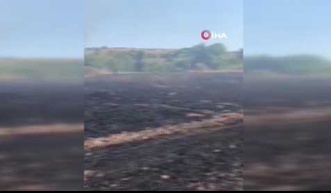 Tarım arazisinde yangın