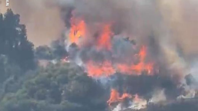 Karamürsel’de orman yangını: Büyük mücadele; İşte son durum