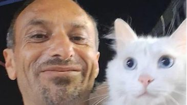 Her yerde onu arıyor: Bulana 10 bin TL verecek