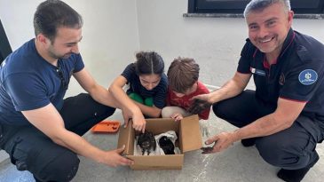 Bacada mahsur kalan Baykuşlar kurtarıldı, Ormanya’ya teslim edildi