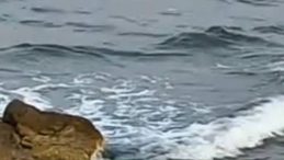 Kandıra’dan acı haber: Denize giren genç hayatını kaybetti