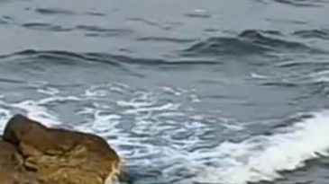 Kandıra’dan acı haber: Denize giren genç hayatını kaybetti