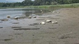 Uzmanlardan uyarı: “Su seviyesi tehlikeli seviyelere düştü, daha da düşüyor”