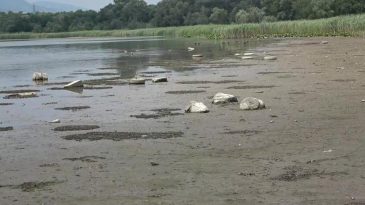 Uzmanlardan uyarı: “Su seviyesi tehlikeli seviyelere düştü, daha da düşüyor”