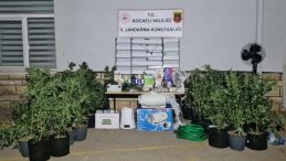 Jandarma’dan İzmit ve Kandıra’da uyuşturucu operasyonu: İşte ele geçirilenler