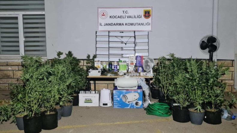 Jandarma’dan İzmit ve Kandıra’da uyuşturucu operasyonu: İşte ele geçirilenler