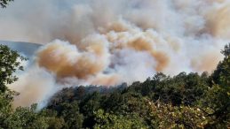 Karamürsel’de orman yangını: Akçat köyü boşaltıldı