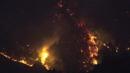 Kocaeli’deki orman yangını saatlerdir sürüyor: Rüzgar müdahaleyi güçleştiriyor