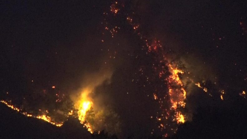 Kocaeli’deki orman yangını saatlerdir sürüyor: Rüzgar müdahaleyi güçleştiriyor