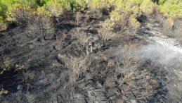 İzmit’teki orman yangını 1 saatlik müdahaleyle kontrol altına alındı