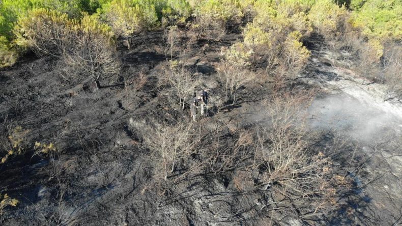 İzmit’teki orman yangını 1 saatlik müdahaleyle kontrol altına alındı