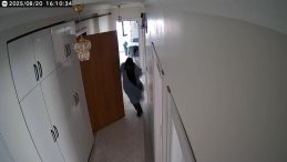 Kendi evi gibi ayakkabıyla girdiği daireyi soyacaktı, kamerayı görünce panikledi