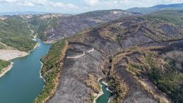 Kocaeli’de yangın sonrası yürek burkan manzara