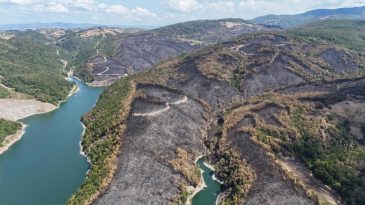 Kocaeli’de yangın sonrası yürek burkan manzara