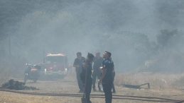 Derince’de ağaçlık alanda yangın: 5 ev hasar aldı