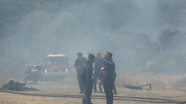 Derince’de ağaçlık alanda yangın: 5 ev hasar aldı