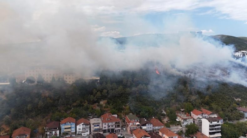 İzmit Kuruçeşme’de ağaçlık alana sıçrayan yangın kontrol altına alındı