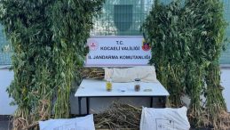 İzmit’te 12 kilo esrar ele geçirildi